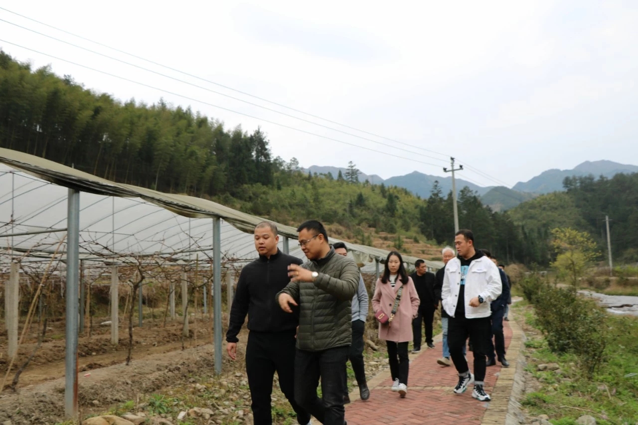 【社践】阳光学院助推屏南乡村振兴校友考察专题报道